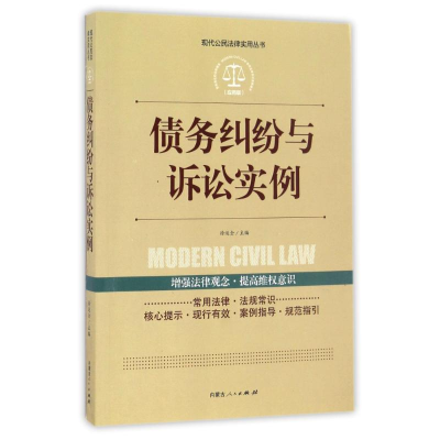 [M]债务纠纷与诉讼实例 徐运全 著作 -9787204142149