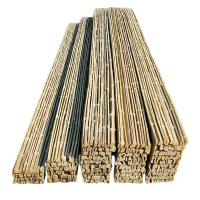 贝策 竹踏板 竹架板竹跳板 300*2900mm 个