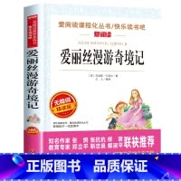 爱丽丝漫游奇境 [正版]全套4册六年级必读的课外书下册原着完整版鲁滨逊漂流记老师爱丽丝漫游奇境尼尔斯骑鹅旅行汤姆索亚历险