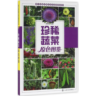 [M]珍稀蔬菜原色图鉴-9787122263476