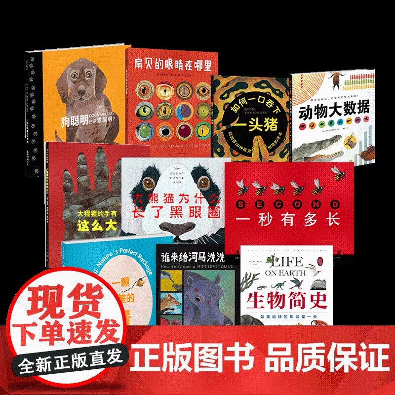詹金斯科普绘本合集 10册 大猩猩的手有这么大 一秒有多长 一颗完美的蛋 动物大数据 爱心树
