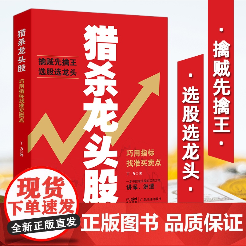猎杀龙头股:巧用指标找准买卖点 让龙头股为你赚大钱 实战投资理念 股票炒股书籍 股票入门基础知识 炒股书籍 股票书籍
