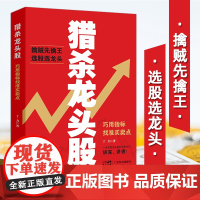 猎杀龙头股:巧用指标找准买卖点 让龙头股为你赚大钱 实战投资理念 股票炒股书籍 股票入门基础知识 炒股书籍 股票书籍