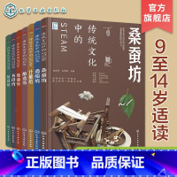 7册 传统文化中的STEAM [正版]全6册 跨学科学习 传统文化中的STEAM 9-14岁青少年儿童传统文化科普图书