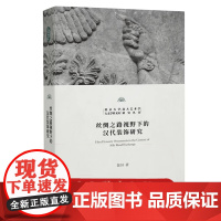 预售正版 丝绸之路视野下的汉代装饰研究 陈轩著 北京大学人文学科文库北大艺术学研究丛书北京大学出版社9787301360