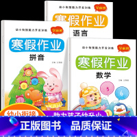 [正版]幼小衔接寒假作业拼音数学语言全套幼儿学前班练习册入学准备试卷测试卷幼儿园大班语文数学练习题思维训练拼音幼升小上册