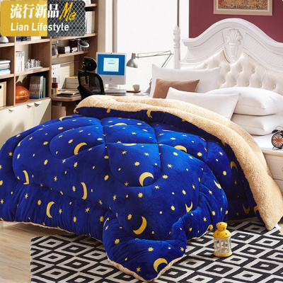 10斤被子冬被羊羔绒双面被加厚保暖棉被单人学生宿舍冬季被芯春秋 三维工匠