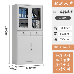 易企采 钢制加厚中二斗文件柜 办公室档案资料柜财务凭证带锁储物柜 单位:台 39*85*180CM