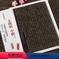 [正版]文徵明文征明般若波罗蜜经 前后出师表 文徵明小楷毛笔字帖