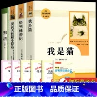 人教版-九下选读4册 [正版]九年级下册阅读名著课外书全套4册 我是猫围城格列佛游记契诃夫短篇小说选人民教育出版社 原着