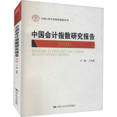 中国会计指数研究报告(2020)(中国人民大学研究报告系列)