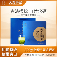 [中华特色]池州馆 2025年春茶天方 500g/盒 特级II硒茶绿茶 明前高山茶叶礼盒装 石台硒茶华东
