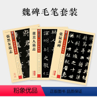 [正版]张黑女墓志张猛龙碑董美人墓志墨点毛笔字帖传世碑帖精选原碑原帖书法教程湖北美术出版社毛笔书法字帖3本套装魏碑毛笔