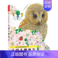 亮丽精美触摸书-小猫头鹰奥奇 [正版]亮丽精美触摸书小兔比利小熊波比小水獭奥斯卡中英双语绘本0-3岁幼儿启蒙认知手偶书撕