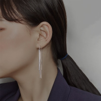 s925纯银蛇骨链流苏耳线女ins小众设计感气质高级感显脸瘦耳环送女朋友老婆情人节七夕生日礼物