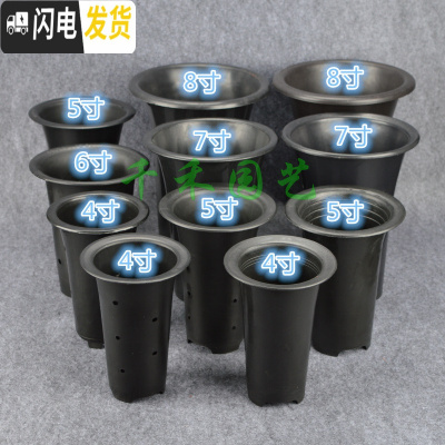 三维工匠塑料花盆透气盆气生盆国兰盆洋兰盆黑色凹底、平底兰花盆 黑色4寸凹底有边孔 50个(送10米网套)花盆容器