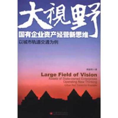 正版新书]大视野 国有企业资产经营新思维高踪阳著9787513621595