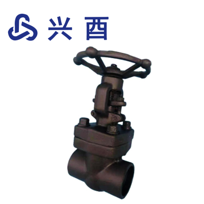 兴酉 铸钢丝扣闸阀Z11Y DN25 个