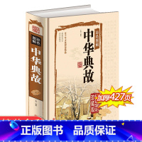 [正版]中华典故书籍全彩珍藏版 五千年文化智慧结晶 浓缩的历史 语言的精华 国学典藏中国文化概论故事中国文化精神 民间