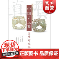 中国古玉器真赝对比鉴定 谷娴子 正版图书籍 学林出版 世纪出版