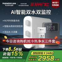 汉斯顿/Hunsdon[国家补贴]净水器家用厨下式净水机家用直饮净水器C2净水器家用无桶双水大流量过滤器净水器