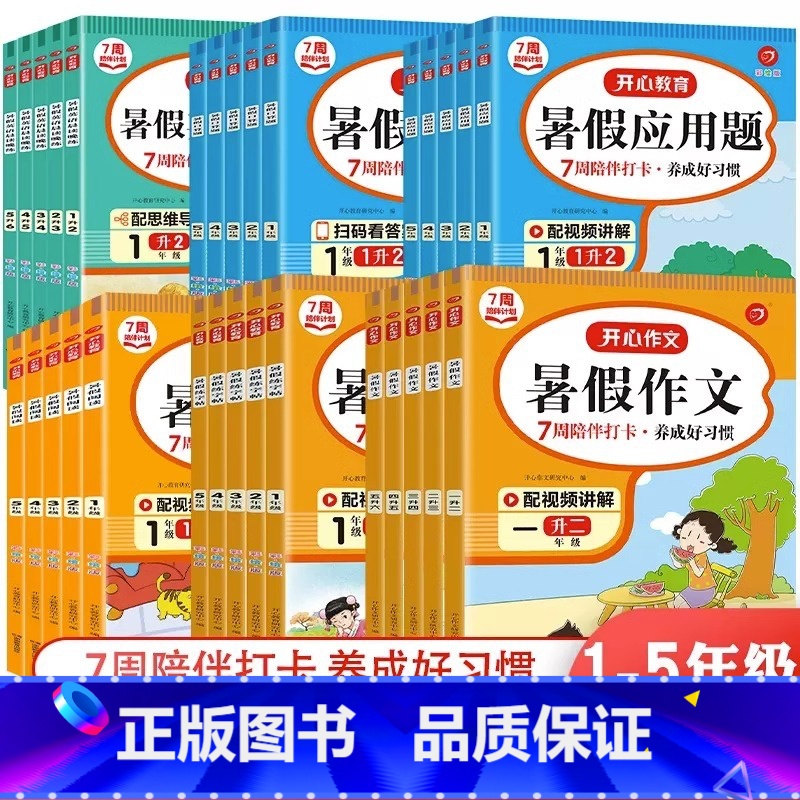 暑假阅读 小学二年级 [正版]2023开心暑假专项作业一升二升三升四升五升六年级上下册暑假阅读理解训练数学口算计算应用题