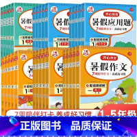 暑假阅读 小学二年级 [正版]2023开心暑假专项作业一升二升三升四升五升六年级上下册暑假阅读理解训练数学口算计算应用题