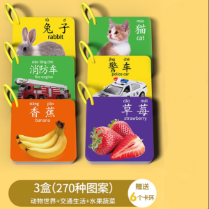 动物卡片早教认知启蒙书儿童识字宝宝看图识物图幼儿数字益智玩具