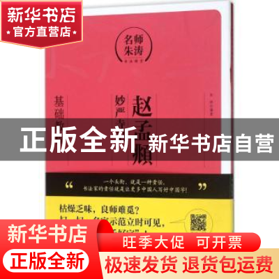 正版 赵孟頫《妙严寺记》:基础教程 朱涛编著 上海人民美术出版社