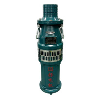 卡西斯顿 油浸式潜水泵 QY40-38-7.5 台