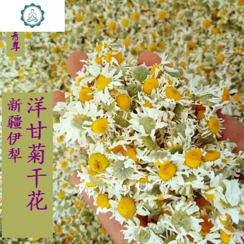 新疆伊犁罗马洋甘菊干花500克花朵花瓣野菊花无添加晾晒农家散装 封后