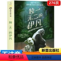 [正版] 的伊凡 国际大奖小说 书 纽伯瑞儿童文学奖金奖作品 少儿故事书儿童读物 小学生三四五六年级课外书 新蕾出版社