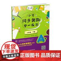 小学同步奥数举一反三:A版.六年级.下册