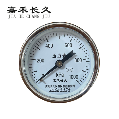 嘉禾长久 压力表轴向 Y60Z 1.6级 0-1000KPA 块