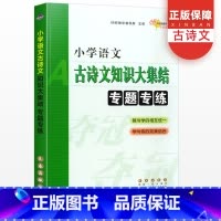 [语文阅读知识]大集结专题专练 小学升初中 [正版]小学语文古诗文知识/综合/语文阅读大集结专题专练 升学夺冠小升初总复