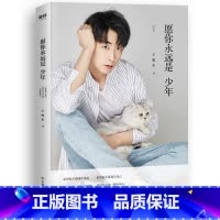 [正版]愿你永远是少年 初恋男友 王旭东快把我哥带走甄开心饰演者 贴心男闺蜜青春文学国民男友散文随笔人物传记成长路上经
