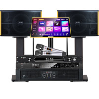 山水(SANSUI) PK-10家庭家用ktv音响套装 大功率音箱 PK10+后级功放+效果器+U段麦+3T点歌机