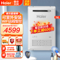 海尔(Haier)燃气热水器变频恒温16升天然气防水防晒防冻户外机密闭稳燃室外安装手机智控JSW31-16TF3BWU1