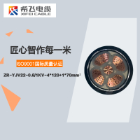 希飞牌 ZR-YJV22-0.6/1KV-4*120+1*70mm² 阻燃铜芯低压铠装电缆 元/米 联系客服 定制商品