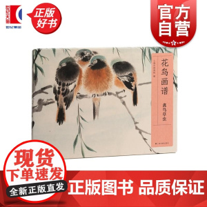 花鸟画谱禽鸟草虫 上海中国画院编上海书画出版社