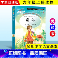 [正版]童年 高尔基著 小学生彩图阅读书籍7-9-10-12岁青少年版儿童读物文学名著三四五六年级儿童文学名著 高尔基