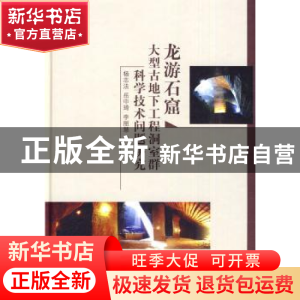 正版 龙游石窟大型古地下工程洞室群科学技术问题研究 杨志法,岳