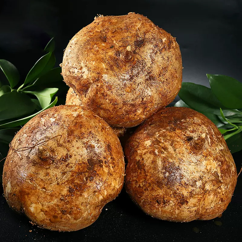 [西沛生鲜]云南新鲜凉薯 净重5斤 大果 单果200g+ 单果新鲜现挖农家当季蔬菜白地瓜豆薯番薯沙葛