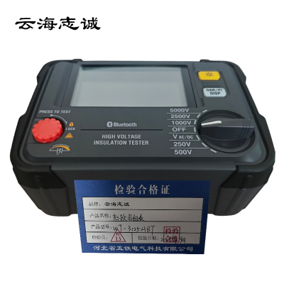 兆欧电阻表 WT-3125ABT 1台