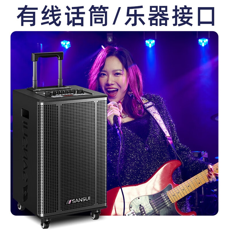 山水(SANSUI)户外拉杆大功率音响 移动蓝牙露营重低音炮音箱 E10(10吋重低音+双话筒)