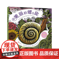 美丽的螺旋 中英双语 走近科学 走进大自然 夜色下的小屋 艺术启蒙