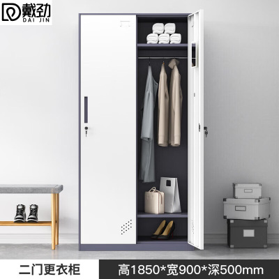 戴劲钢制拆装更衣柜员工宿舍铁皮衣柜车间鞋柜办公室储物柜 灰白二门