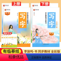 学生硬笔书法练习 七年级上 [正版]2024版学生硬笔书法练习写字七八九上册下册李放鸣书笔墨先锋初中初一7初二8初三9