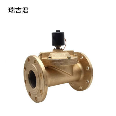 瑞吉君 电磁阀 DN100 个