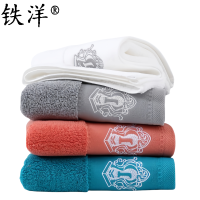 铁洋 A类刺绣纯棉毛巾120g 35cm*75cm 条